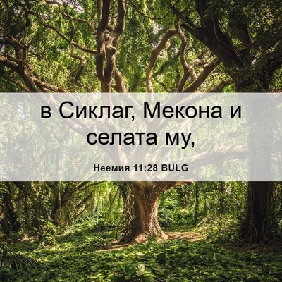 Picture 06 - Неемия 11:28 BULG - в Сиклаг, Мекона и селата - Bible Verse Picture