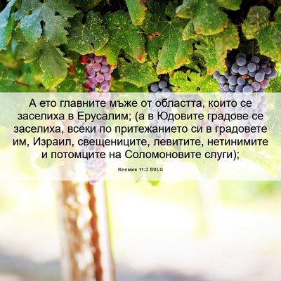 Picture 06 - Неемия 11:3 BULG - А ето главните мъже от - Bible Verse Picture