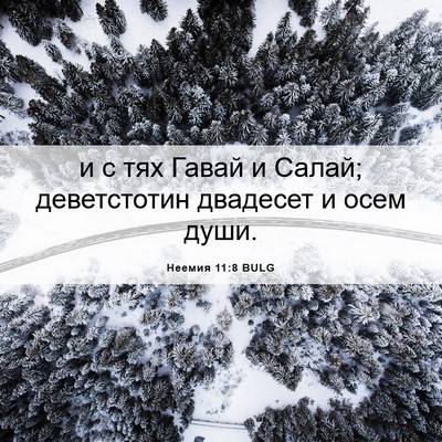 Picture 06 - Неемия 11:8 BULG - и с тях Гавай и Салай; - Bible Verse Picture