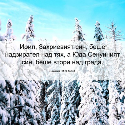 Picture 06 - Неемия 11:9 BULG - Иоил, Захриевият син, беше - Bible Verse Picture