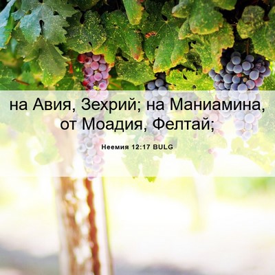 Picture 06 - Неемия 12:17 BULG - на Авия, Зехрий; на - Bible Verse Picture