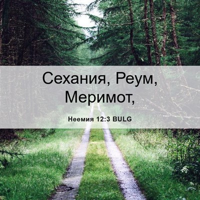 Picture 06 - Неемия 12:3 BULG - Сехания, Реум, - Bible Verse Picture