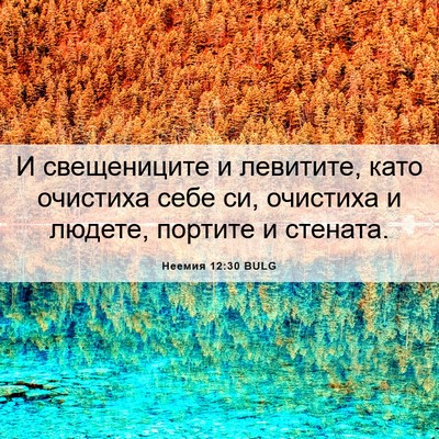 Picture 06 - Неемия 12:30 BULG - И свещениците и левитите, - Bible Verse Picture