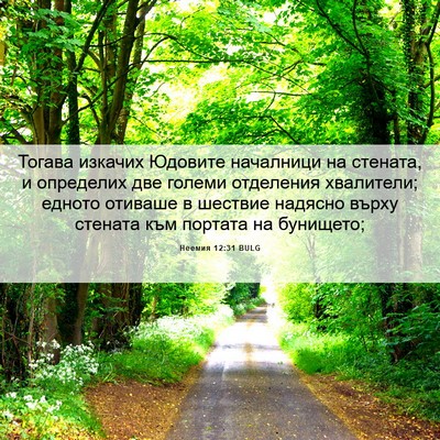 Picture 06 - Неемия 12:31 BULG - Тогава изкачих Юдовите - Bible Verse Picture