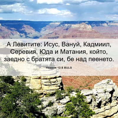 Picture 06 - Неемия 12:8 BULG - А Левитите: Исус, Вануй, - Bible Verse Picture