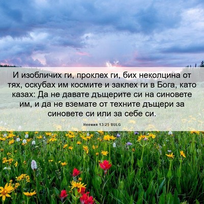 Picture 06 - Неемия 13:25 BULG - И изобличих ги, проклех ги, - Bible Verse Picture