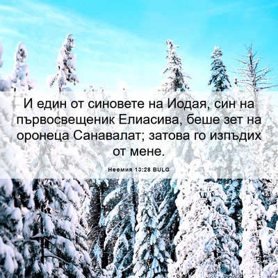 Picture 06 - Неемия 13:28 BULG - И един от синовете на - Bible Verse Picture