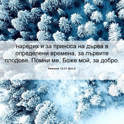 Picture 06 - Неемия 13:31 BULG - наредих и за приноса на - Bible Verse Picture