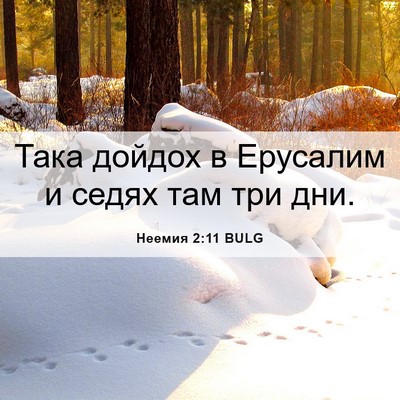 Picture 06 - Неемия 2:11 BULG - Така дойдох в Ерусалим и - Bible Verse Picture