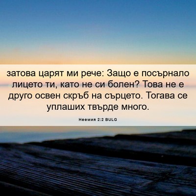 Picture 06 - Неемия 2:2 BULG - затова царят ми рече: Защо - Bible Verse Picture