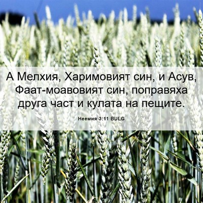 Picture 06 - Неемия 3:11 BULG - А Мелхия, Харимовият син, и - Bible Verse Picture