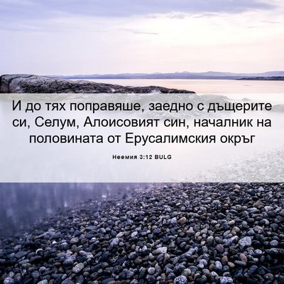 Picture 06 - Неемия 3:12 BULG - И до тях поправяше, заедно - Bible Verse Picture