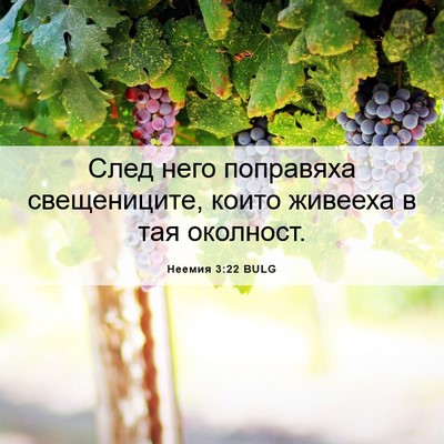 Picture 06 - Неемия 3:22 BULG - След него поправяха - Bible Verse Picture