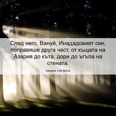 Picture 06 - Неемия 3:24 BULG - След него, Вануй, - Bible Verse Picture