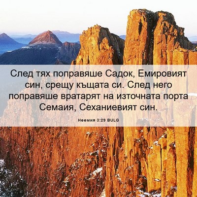 Picture 06 - Неемия 3:29 BULG - След тях поправяше Садок, - Bible Verse Picture