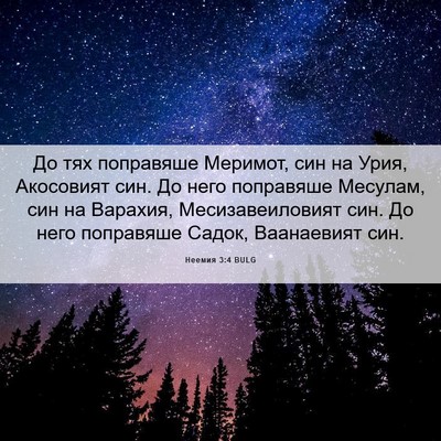 Picture 06 - Неемия 3:4 BULG - До тях поправяше Меримот, - Bible Verse Picture