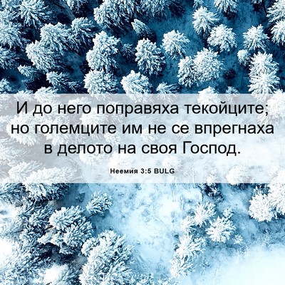 Picture 06 - Неемия 3:5 BULG - И до него поправяха - Bible Verse Picture