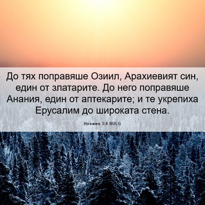 Picture 06 - Неемия 3:8 BULG - До тях поправяше Озиил, - Bible Verse Picture