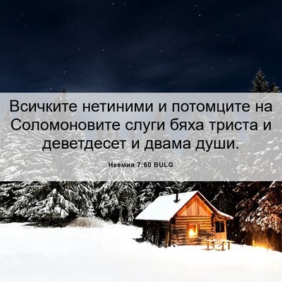 Picture 06 - Неемия 7:60 BULG - Всичките нетиними и - Bible Verse Picture
