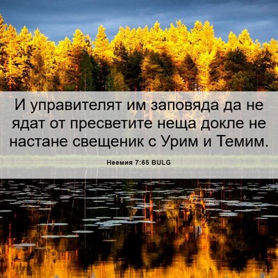 Picture 06 - Неемия 7:65 BULG - И управителят им заповяда - Bible Verse Picture