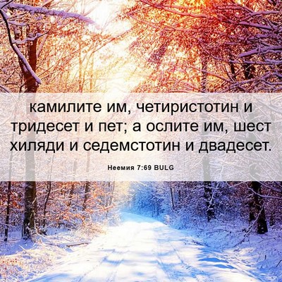 Picture 06 - Неемия 7:69 BULG - камилите им, четиристотин - Bible Verse Picture