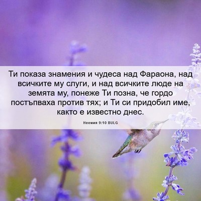 Picture 06 - Неемия 9:10 BULG - Ти показа знамения и - Bible Verse Picture