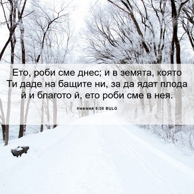 Picture 06 - Неемия 9:36 BULG - Ето, роби сме днес; и в - Bible Verse Picture