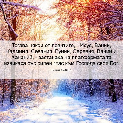 Picture 06 - Неемия 9:4 BULG - Тогава някои от левитите, - - Bible Verse Picture