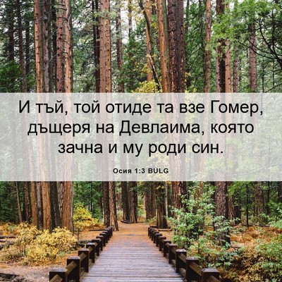 Picture 06 - Осия 1:3 BULG - И тъй, той отиде та взе - Bible Verse Picture