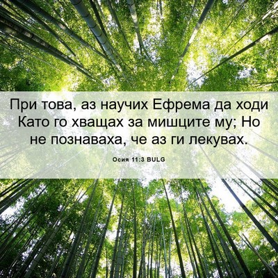 Picture 06 - Осия 11:3 BULG - При това, аз научих Ефрема - Bible Verse Picture