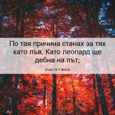 Picture 06 - Осия 13:7 BULG - По тая причина станах за - Bible Verse Picture
