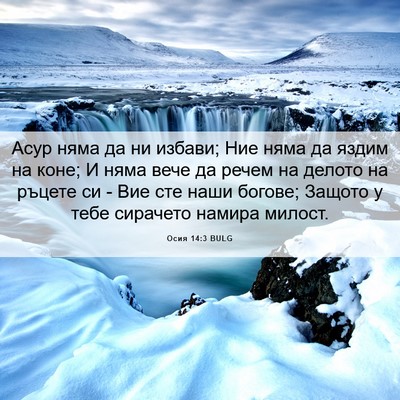 Picture 06 - Осия 14:3 BULG - Асур няма да ни избави; Ние - Bible Verse Picture