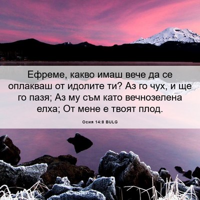 Picture 06 - Осия 14:8 BULG - Ефреме, какво имаш вече да - Bible Verse Picture