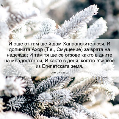 Picture 06 - Осия 2:15 BULG - И още от там ще й дам - Bible Verse Picture