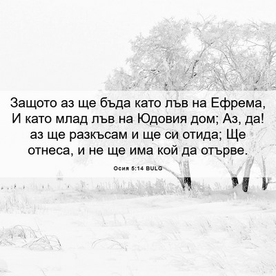Picture 06 - Осия 5:14 BULG - Защото аз ще бъда като лъв - Bible Verse Picture
