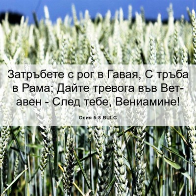 Picture 06 - Осия 5:8 BULG - Затръбете с рог в Гавая, С - Bible Verse Picture