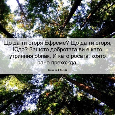 Picture 06 - Осия 6:4 BULG - Що да ти сторя Ефреме? Що да - Bible Verse Picture