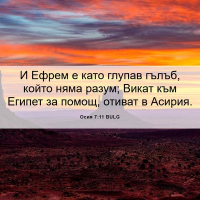 Picture 06 - Осия 7:11 BULG - И Ефрем е като глупав - Bible Verse Picture