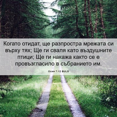Picture 06 - Осия 7:12 BULG - Когато отидат, ще - Bible Verse Picture