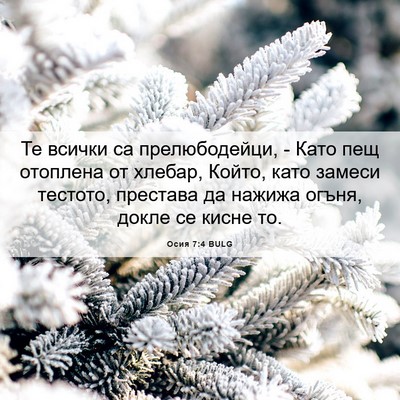 Picture 06 - Осия 7:4 BULG - Те всички са прелюбодейци, - Bible Verse Picture