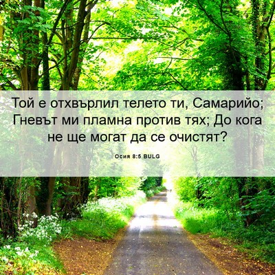 Picture 06 - Осия 8:5 BULG - Той е отхвърлил телето ти, - Bible Verse Picture