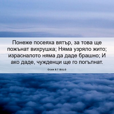 Picture 06 - Осия 8:7 BULG - Понеже посеяха вятър, за - Bible Verse Picture