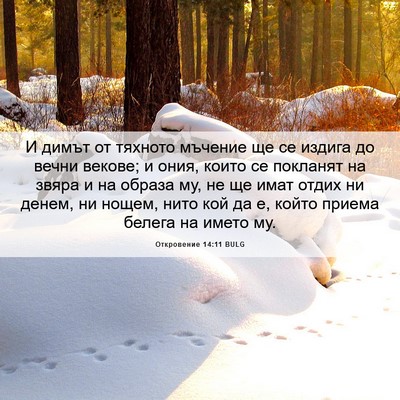 Picture 06 - Откровение 14:11 BULG - И димът от тяхното мъчение - Bible Verse Picture