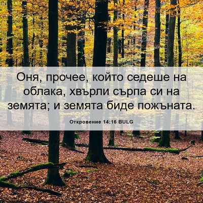Picture 06 - Откровение 14:16 BULG - Оня, прочее, който седеше - Bible Verse Picture
