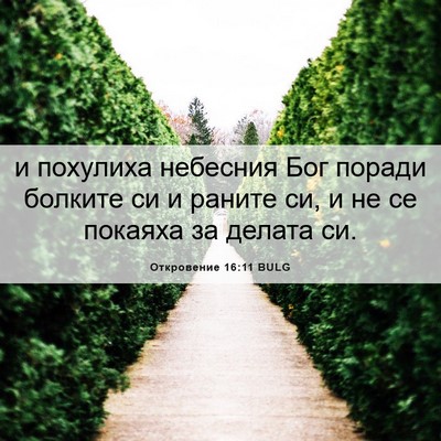 Picture 06 - Откровение 16:11 BULG - и похулиха небесния Бог - Bible Verse Picture