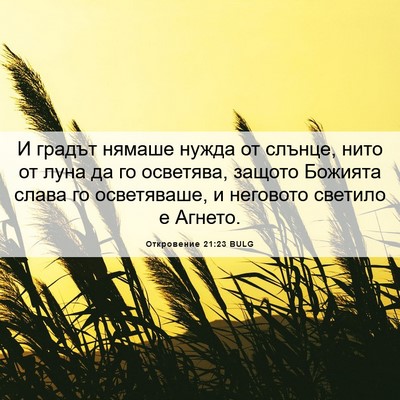 Picture 06 - Откровение 21:23 BULG - И градът нямаше нужда от - Bible Verse Picture