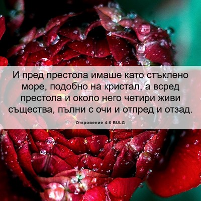 Picture 06 - Откровение 4:6 BULG - И пред престола имаше като - Bible Verse Picture