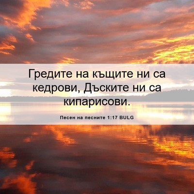 Picture 06 - Песен на песните 1:17 BULG - Гредите на къщите ни са - Bible Verse Picture