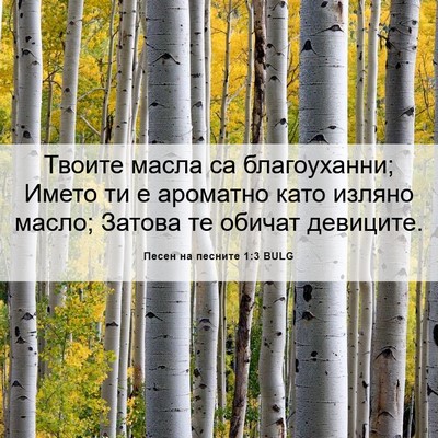 Picture 06 - Песен на песните 1:3 BULG - Твоите масла са - Bible Verse Picture