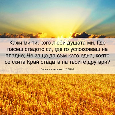 Picture 06 - Песен на песните 1:7 BULG - Кажи ми ти, кого люби - Bible Verse Picture
